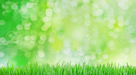 Timeline: LA PLANTA DE FRIJOL