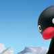 Pingu