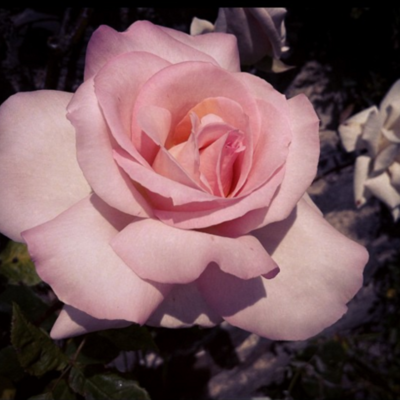 Timeline: Fine Art 1950-Present