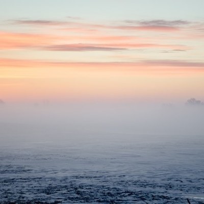 Timeline: The Secret Life of Bees