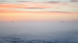 Timeline: The Secret Life of Bees