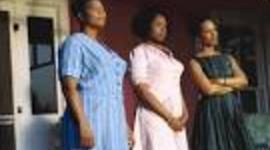 Timeline: The Secret Life of Bees