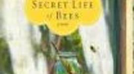 Timeline: Secret Life of Bees