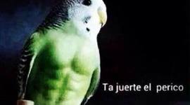 Timeline: mi primer linea del tiempo