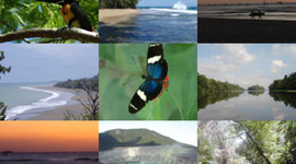 Timeline: Antecedentes del desarrollo turístico en Costa Rica.