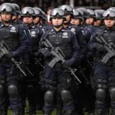 Timeline: Evolución de la Seguridad Publica