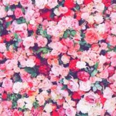 Timeline: Evolución del Internet