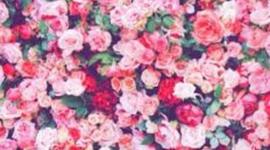 Timeline: Evolución del Internet