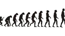 Timeline: Etapas de la Historia