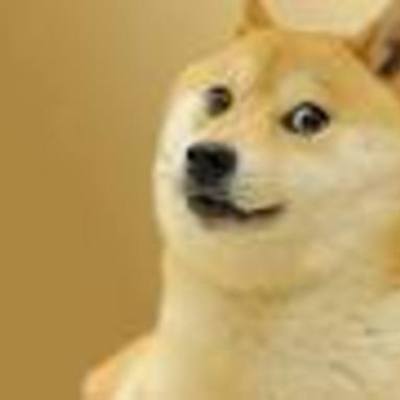 Timeline: doge