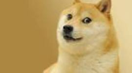 Timeline: doge