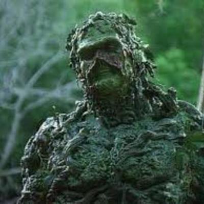 Timeline: Kudzu comes!!!-Cody Outterside