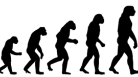 Timeline: évolution des objets techniques