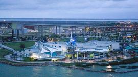 Timeline: The Texas State Aquarium