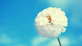 Timeline: Introduction of religions under Christianity