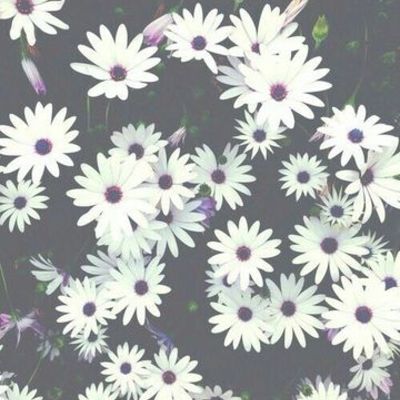 Timeline: Revoluciones Tecnologicas