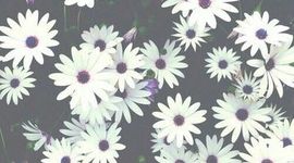 Timeline: Revoluciones Tecnologicas