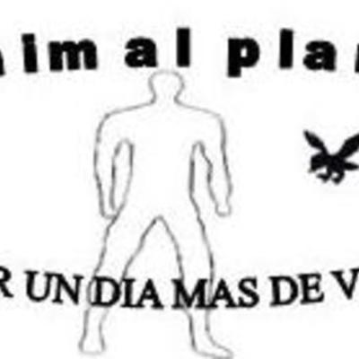 Timeline: HISTORIA DE LA ECOLOGIA  ANIMAL PLANETUAA 5K