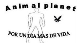 Timeline: HISTORIA DE LA ECOLOGIA  ANIMAL PLANETUAA 5K