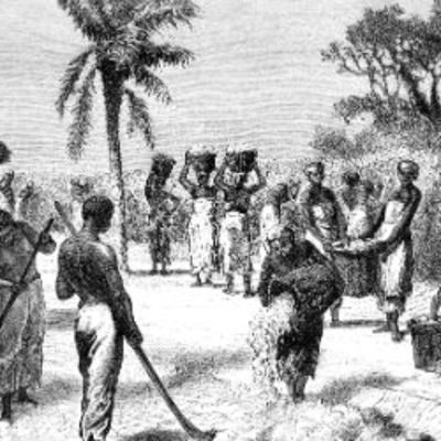 Timeline: Slaves arrive in America