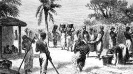 Timeline: Slaves arrive in America