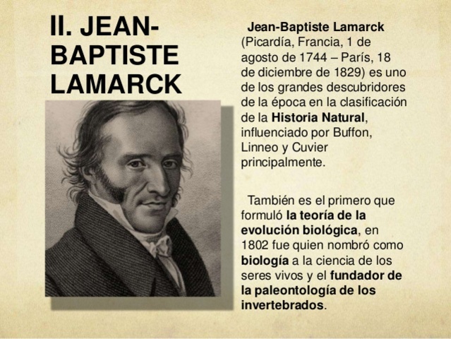 Teorías de la evolución timeline | Timetoast timelines