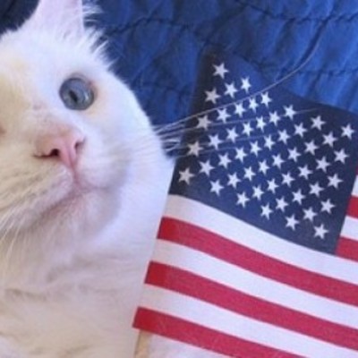 Timeline: Thematic Timeline- America in the World