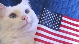 Timeline: Thematic Timeline- America in the World