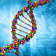 Dna