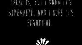 Timeline: Looking For Alaska