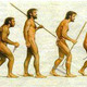 Evolucion 01