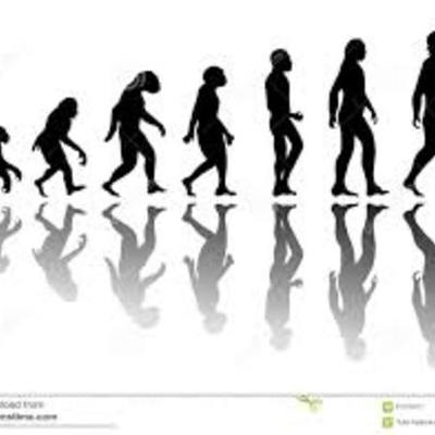 Timeline: EVOLUCION DEL HOMBRE