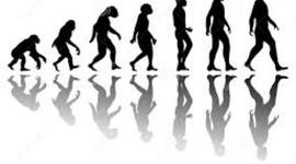 Timeline: EVOLUCION DEL HOMBRE