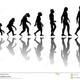 Evolucion del hombre