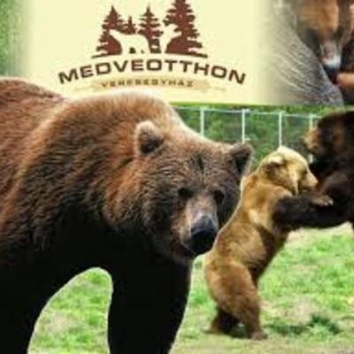 Timeline: Veresegyházi Medveotthon 1998-2016