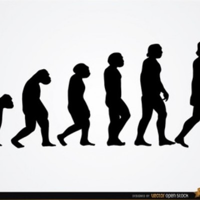 Timeline: Evolución del hombre