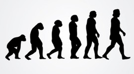 Timeline: Evolución del hombre