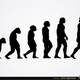 Huo sapiens siluetas evolucion 72147496116