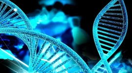 Timeline: Grandes Pasos de la Genética