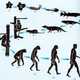 Darwin evolucion