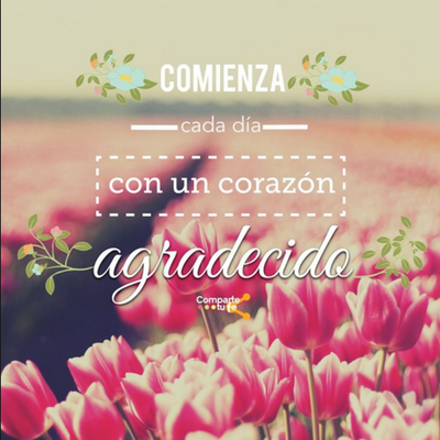 Timeline: Sueños Por Alcanzar