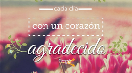 Timeline: Sueños Por Alcanzar