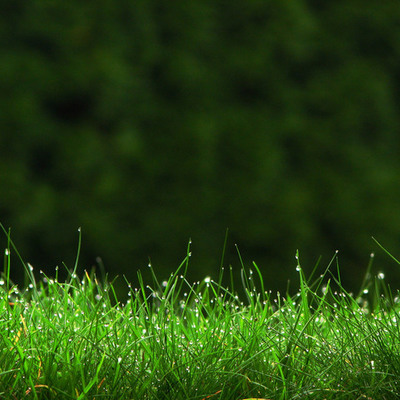 Timeline: Биография А.С.Пушкина