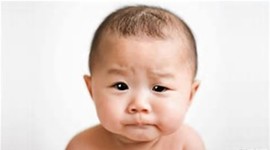 Timeline: Fetal Development