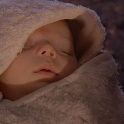 Timeline: Fetal Development