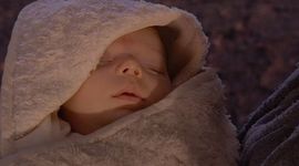 Timeline: Fetal Development