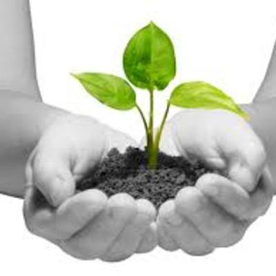 Timeline: The Highlights of my LIFE!