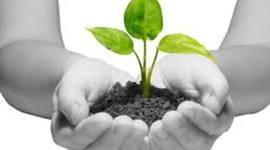 Timeline: The Highlights of my LIFE!