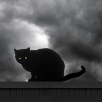 Timeline: Personal Odyssey