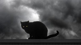 Timeline: Personal Odyssey